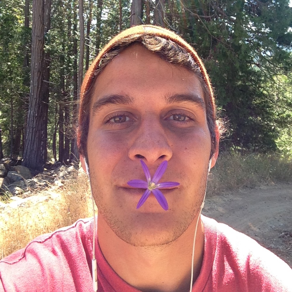 Meet your Posher, Dylan